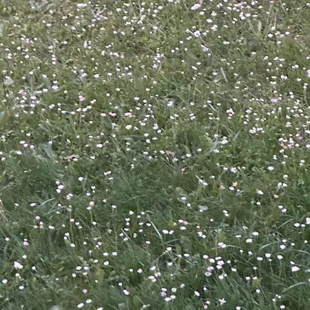 La Casa Nel Parco 4*