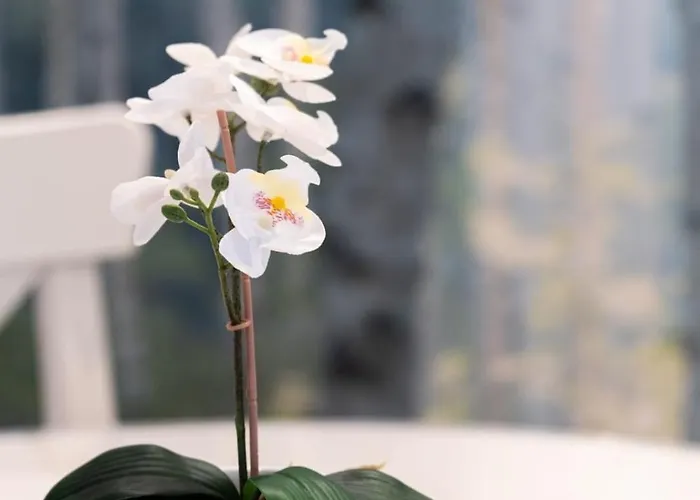 B&B La Casa Nel Parco 4*