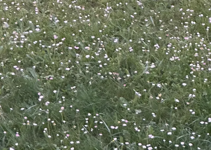 La Casa Nel Parco 4*